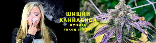 jwh Богородицк