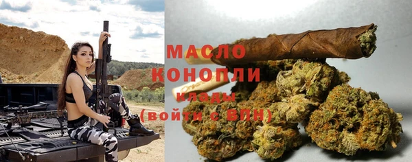 стафф Богданович