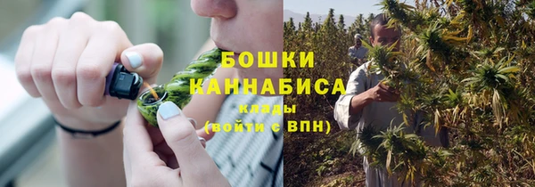 стафф Богданович